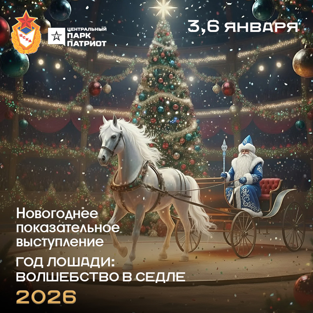 Новогоднее показательное выступление: «Волшебство в седле 2026»