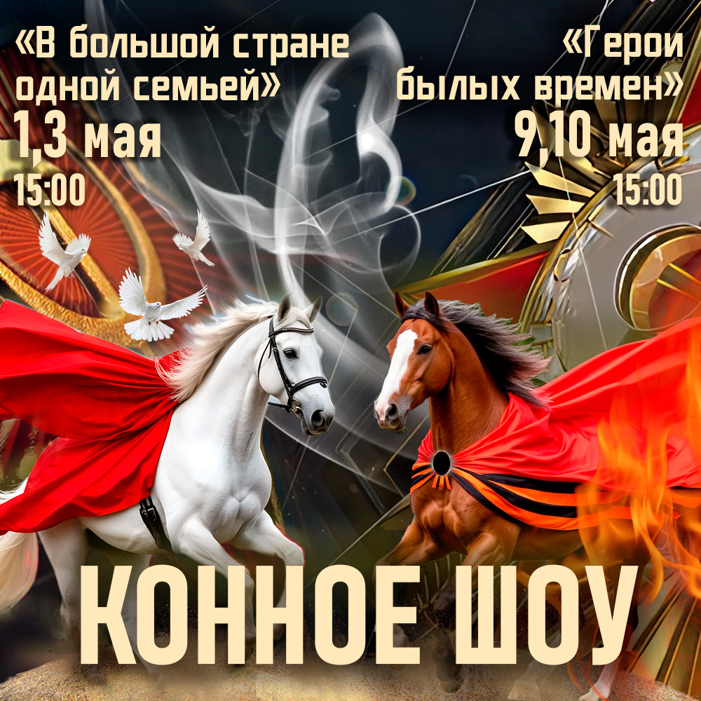 Конные шоу, посвященные 80-летию Победы и дружбе народов