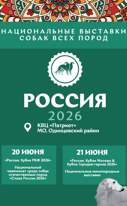 Выставки собак «РОССИЯ 2026»