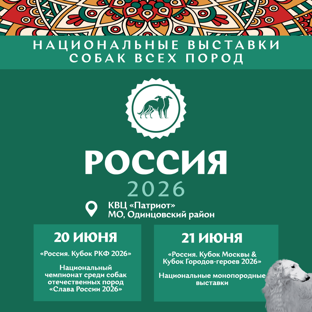 Выставки собак всех пород «РОССИЯ 2026»