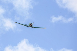 IMG_6978