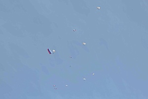 IMG_8248