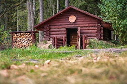 IMG_7908.jpg
