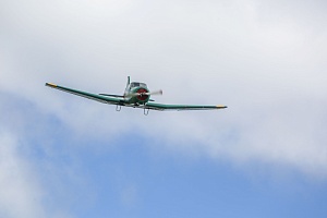 IMG_7010