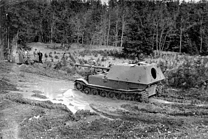 317619_main