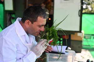 «Наслаждение ароматом зелени при приготовлении блюд  национальной кухни участником команды Армении на конкурсе «Полевая кухня».  Полигон «Алабино» (Россия), 2020 г.»