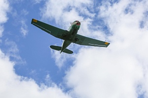 IMG_7017