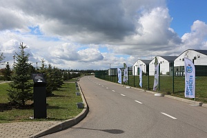 IMG_0608