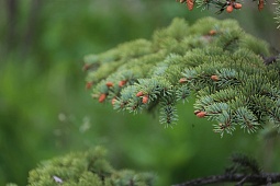 IMG_1334.jpg