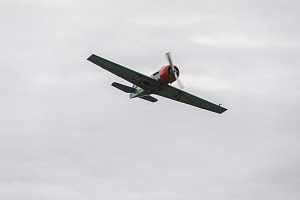 ZPT-44