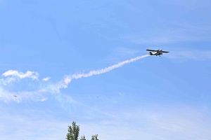 IMG_7737