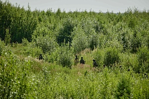 2025-07-11_15-42-58-SV