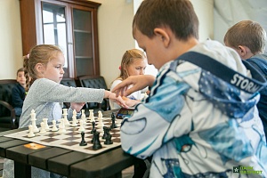 шахматы сжат (8 of 12)