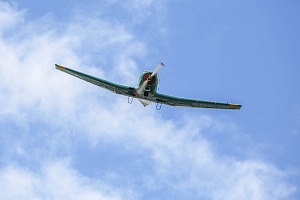IMG_6984